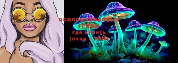 эйфоретик Арсеньев