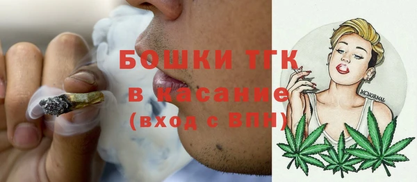 прущий лед Карпинск