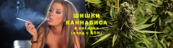 твердый Аркадак