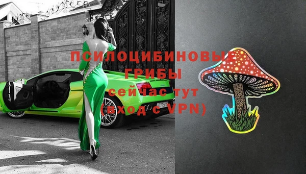 твердый Аркадак
