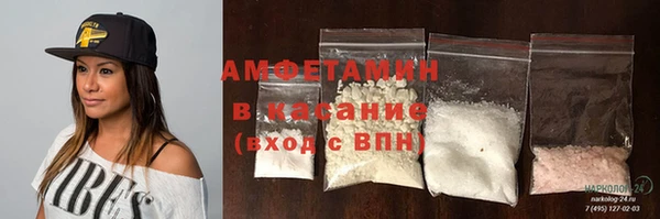 твердый Аркадак