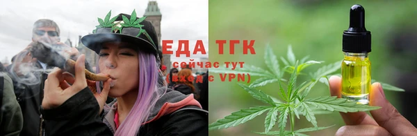 эйфоретик Арсеньев