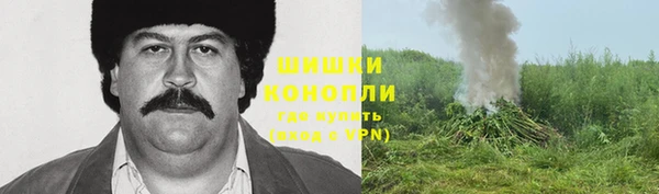 хмурый Инта