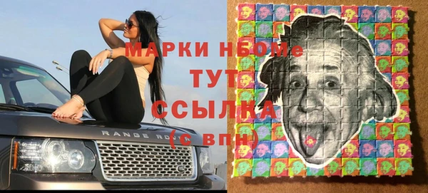 твердый Аркадак