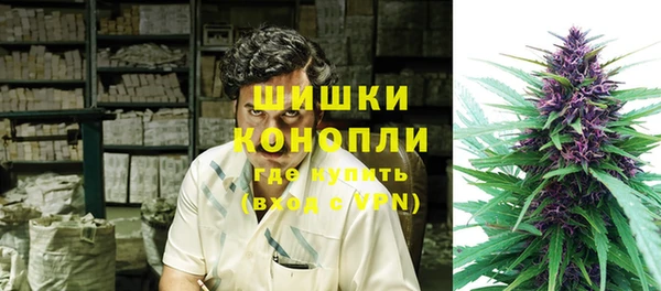 эйфоретик Арсеньев