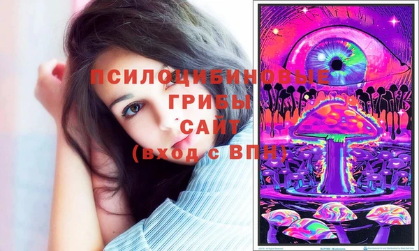 эйфоретик Арсеньев