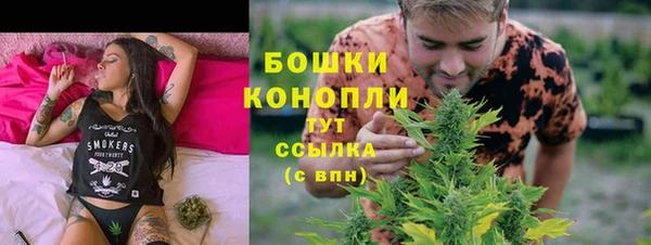 твердый Аркадак