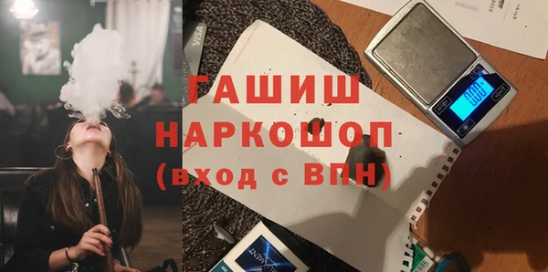 шишки Гусиноозёрск