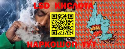 мяу мяу мука Аргун