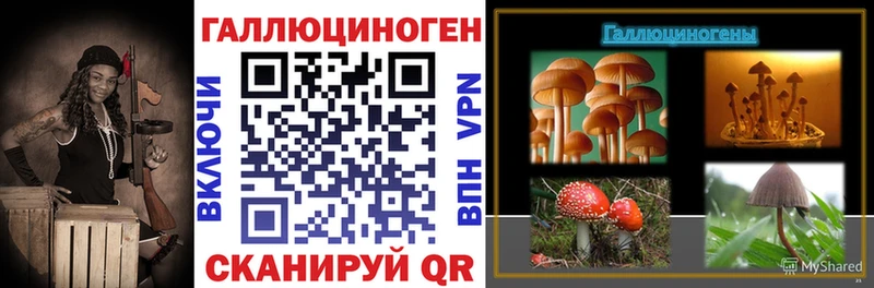 Псилоцибиновые грибы прущие грибы  Балахна 