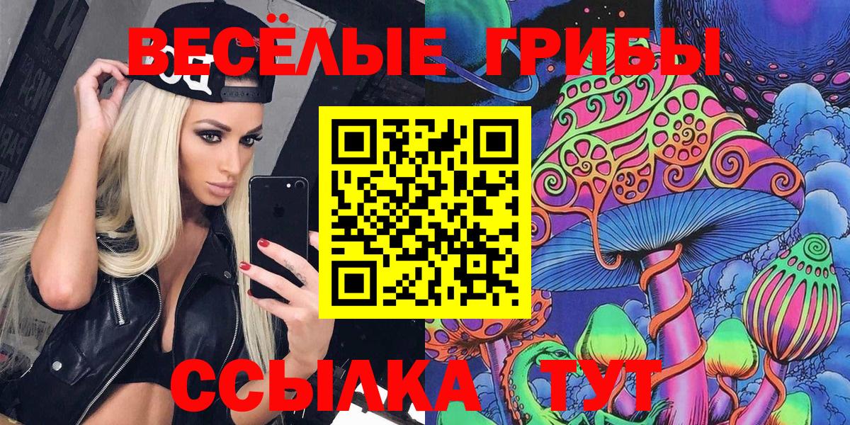 закладки  Балахна  Псилоцибиновые грибы ЛСД 