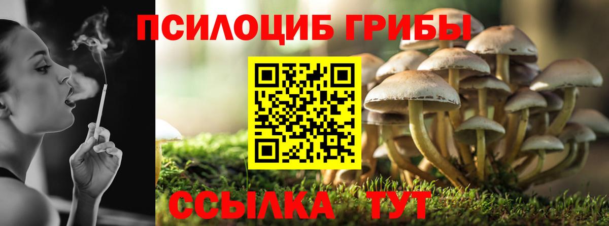 Псилоцибиновые грибы ЛСД Балахна