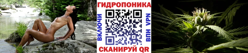 Бошки Шишки OG Kush  mega рабочий сайт  Балахна 